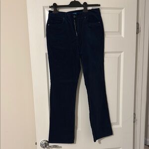 Navy Velvet J McLaughlin Pants